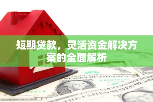 龙崎短期贷款，灵活资金解决方案的全面解析