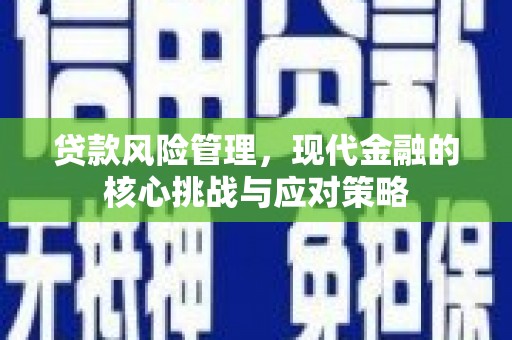 龙崎贷款风险管理，现代金融的核心挑战与应对策略