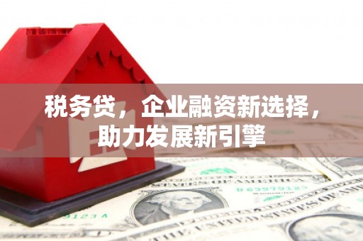 龙崎税务贷，企业融资新选择，助力发展新引擎