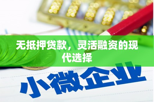 龙崎无抵押贷款，灵活融资的现代选择