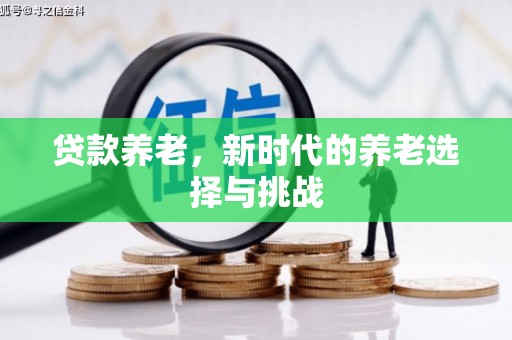 龙崎贷款养老，新时代的养老选择与挑战