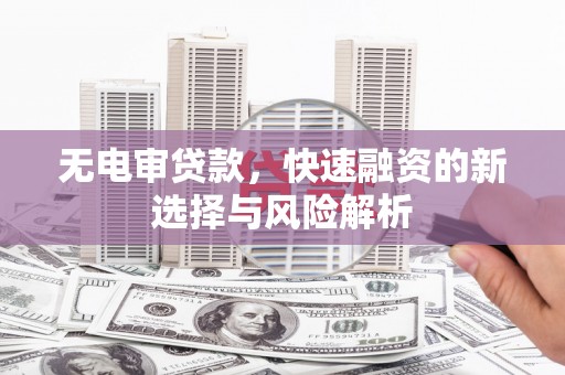 龙崎无电审贷款，快速融资的新选择与风险解析