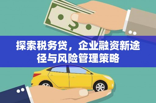 龙崎探索税务贷，企业融资新途径与风险管理策略