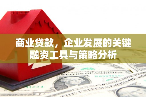 龙崎商业贷款，企业发展的关键融资工具与策略分析