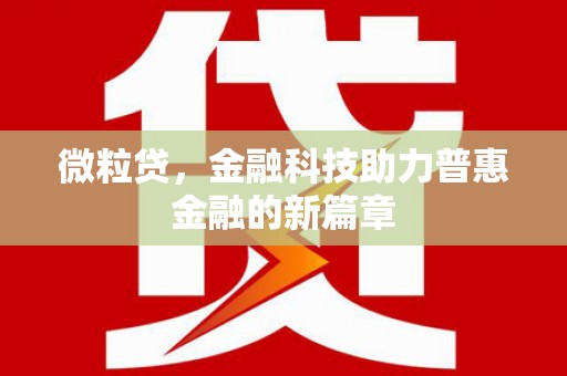 龙崎微粒贷，金融科技助力普惠金融的新篇章
