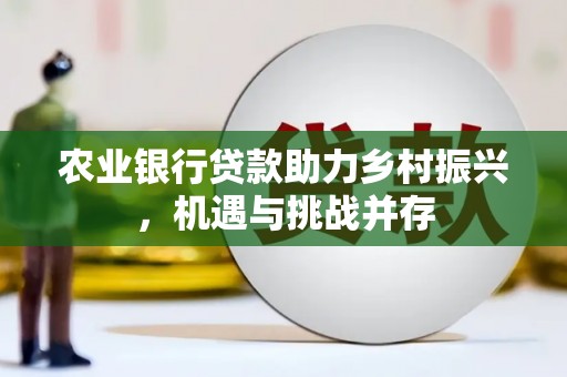 龙崎农业银行贷款助力乡村振兴，机遇与挑战并存