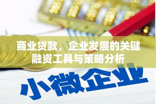 龙崎商业贷款，企业发展的关键融资工具与策略分析