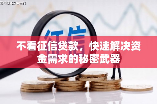 龙崎不看征信贷款，快速解决资金需求的秘密武器