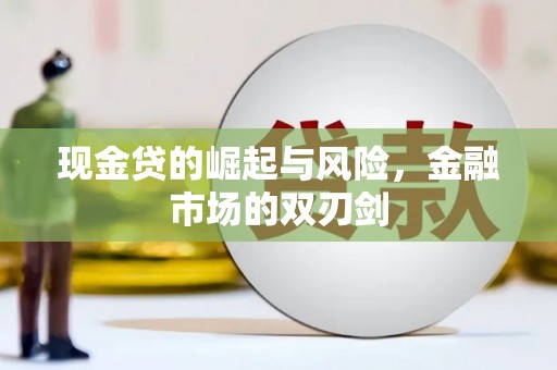龙崎现金贷的崛起与风险，金融市场的双刃剑