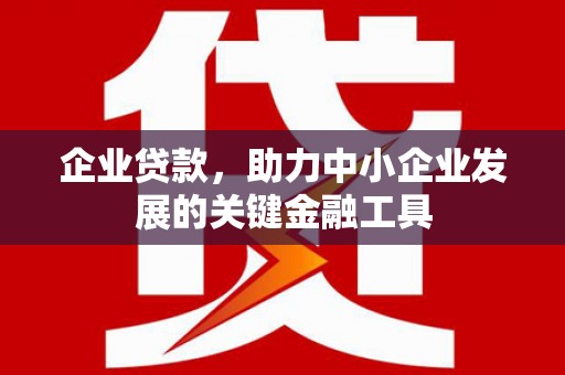 龙崎企业贷款，助力中小企业发展的关键金融工具