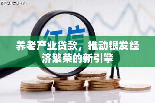 龙崎养老产业贷款，推动银发经济繁荣的新引擎
