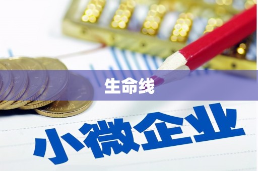 龙崎生命线