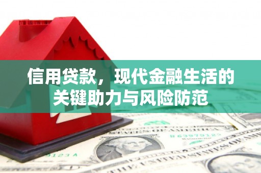 龙崎信用贷款，现代金融生活的关键助力与风险防范