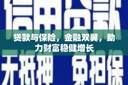 龙崎贷款与保险，金融双翼，助力财富稳健增长