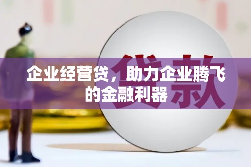 龙崎企业经营贷，助力企业腾飞的金融利器