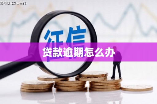 龙崎贷款逾期怎么办