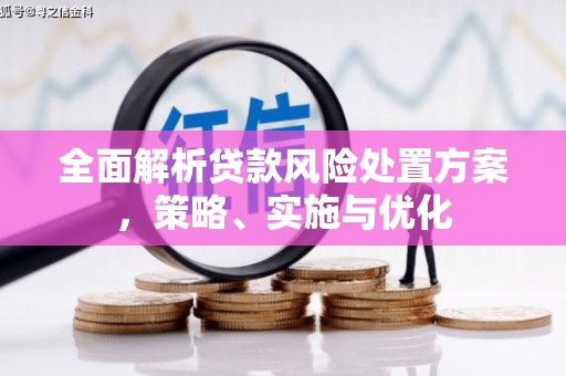 龙崎全面解析贷款风险处置方案，策略、实施与优化
