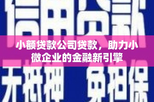 龙崎小额贷款公司贷款，助力小微企业的金融新引擎