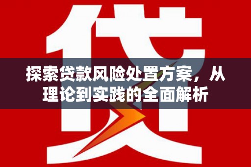 龙崎探索贷款风险处置方案，从理论到实践的全面解析