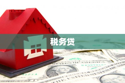 龙崎税务贷