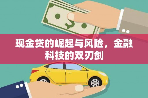 龙崎现金贷的崛起与风险，金融科技的双刃剑