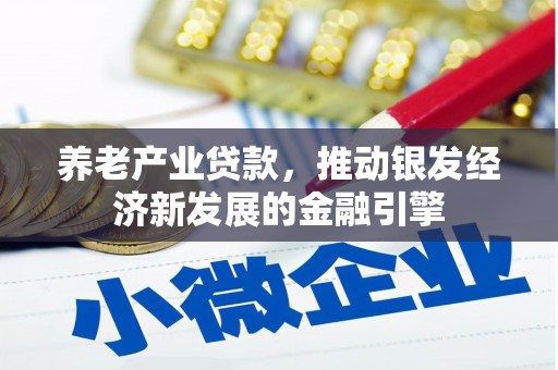 龙崎养老产业贷款，推动银发经济新发展的金融引擎