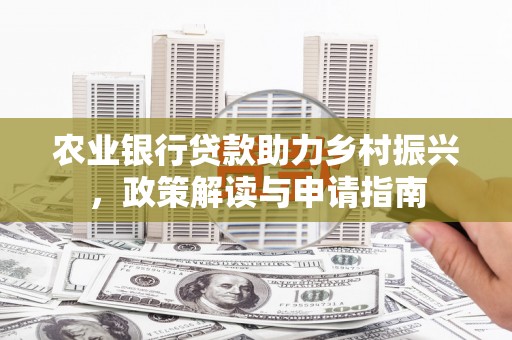 龙崎农业银行贷款助力乡村振兴，政策解读与申请指南