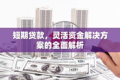 龙崎短期贷款，灵活资金解决方案的全面解析