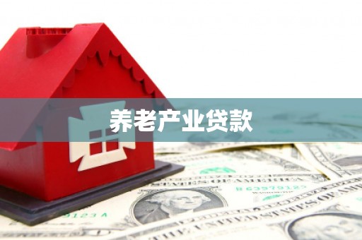 龙崎养老产业贷款