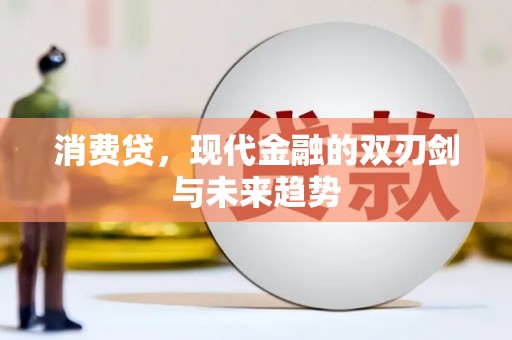 龙崎消费贷，现代金融的双刃剑与未来趋势