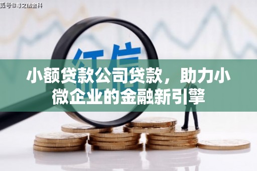 龙崎小额贷款公司贷款，助力小微企业的金融新引擎