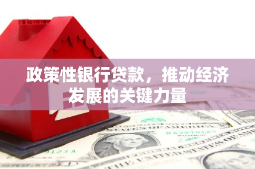 龙崎政策性银行贷款，推动经济发展的关键力量