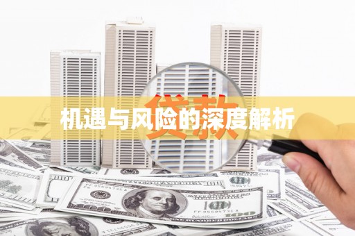 龙崎机遇与风险的深度解析