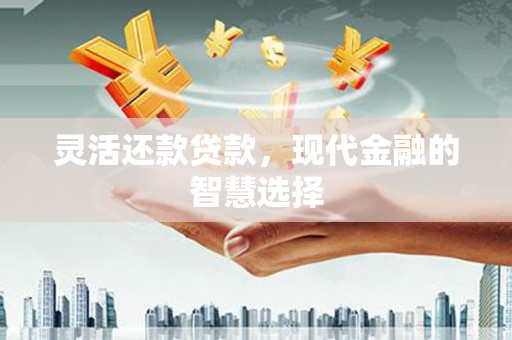 龙崎灵活还款贷款，现代金融的智慧选择