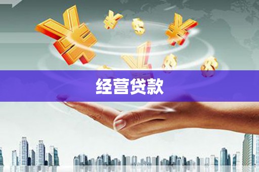 龙崎经营贷款