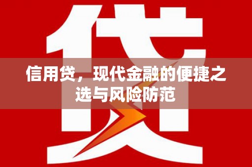 龙崎信用贷，现代金融的便捷之选与风险防范