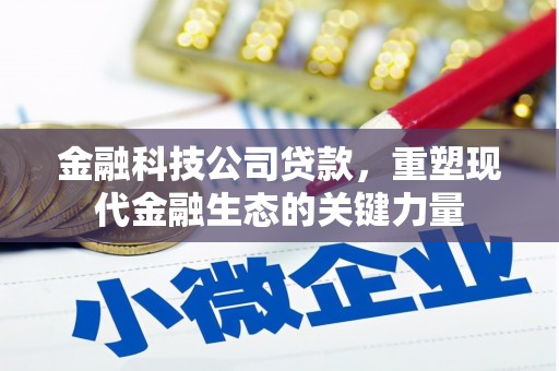 龙崎金融科技公司贷款，重塑现代金融生态的关键力量