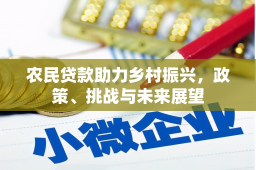 龙崎农民贷款助力乡村振兴，政策、挑战与未来展望