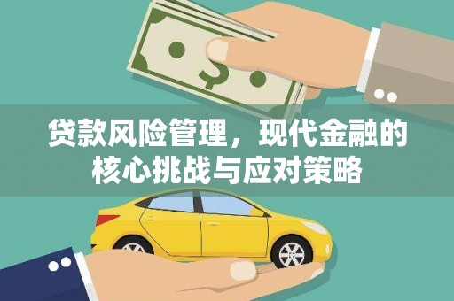 龙崎贷款风险管理，现代金融的核心挑战与应对策略