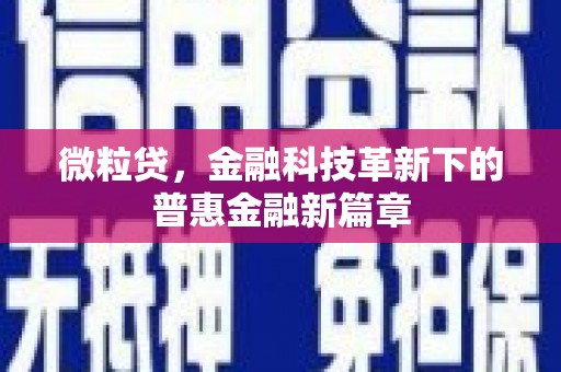 龙崎微粒贷，金融科技革新下的普惠金融新篇章