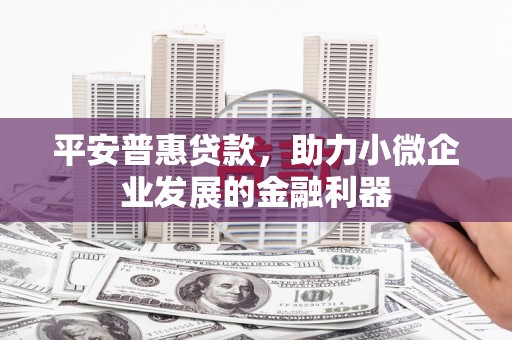 龙崎平安普惠贷款，助力小微企业发展的金融利器