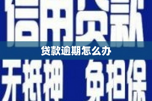 龙崎贷款逾期怎么办