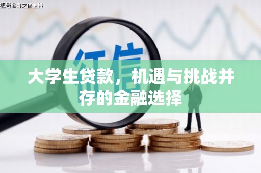 龙崎大学生贷款，机遇与挑战并存的金融选择
