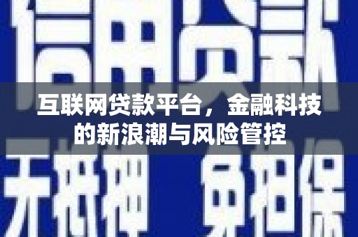 龙崎互联网贷款平台，金融科技的新浪潮与风险管控