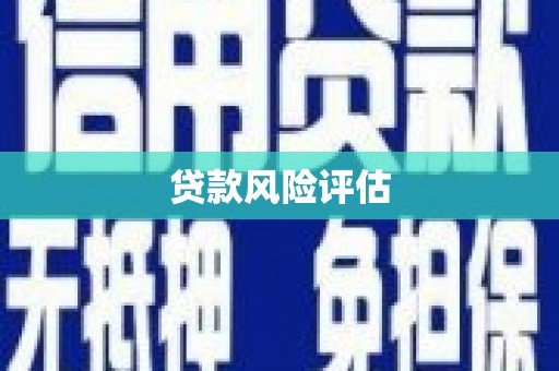 龙崎贷款风险评估