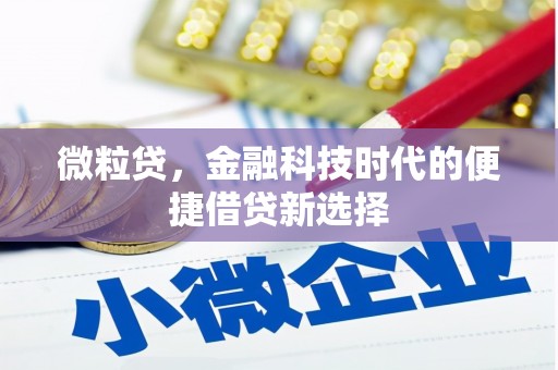 龙崎微粒贷，金融科技时代的便捷借贷新选择