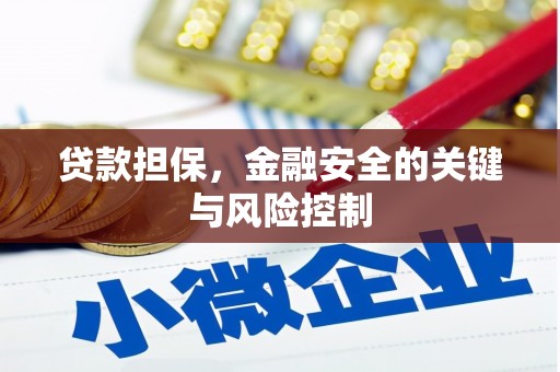 龙崎贷款担保，金融安全的关键与风险控制