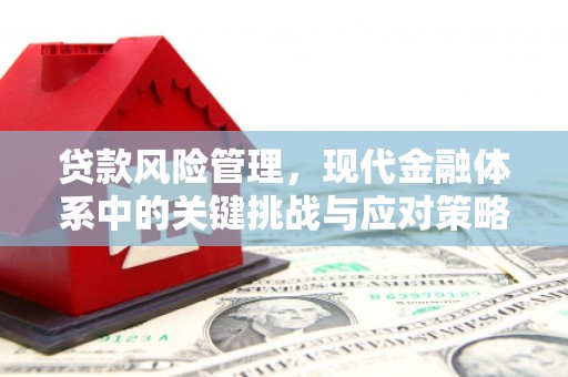 龙崎贷款风险管理，现代金融体系中的关键挑战与应对策略