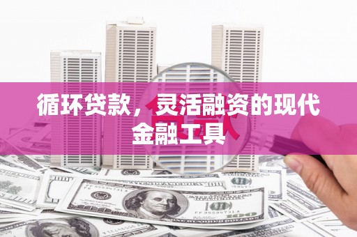 龙崎循环贷款，灵活融资的现代金融工具