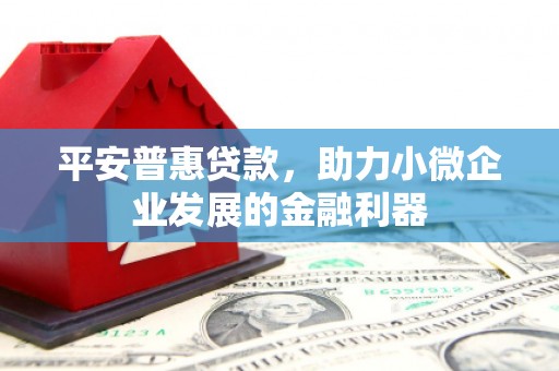 龙崎平安普惠贷款，助力小微企业发展的金融利器
